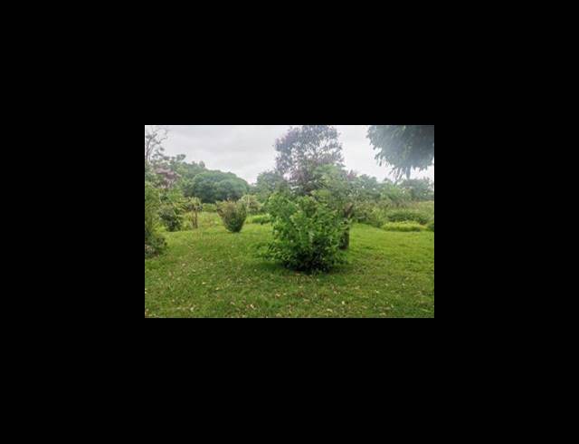 BUSINESS FOR SALE IN CRAIGIEBURN